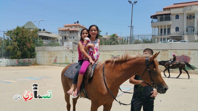 كفرقاسم - فيديو  : تعليم هواية ركوب الخيل في مدرسة جنة ابن رشد في اليوم الرابع لصيف الصادقة 